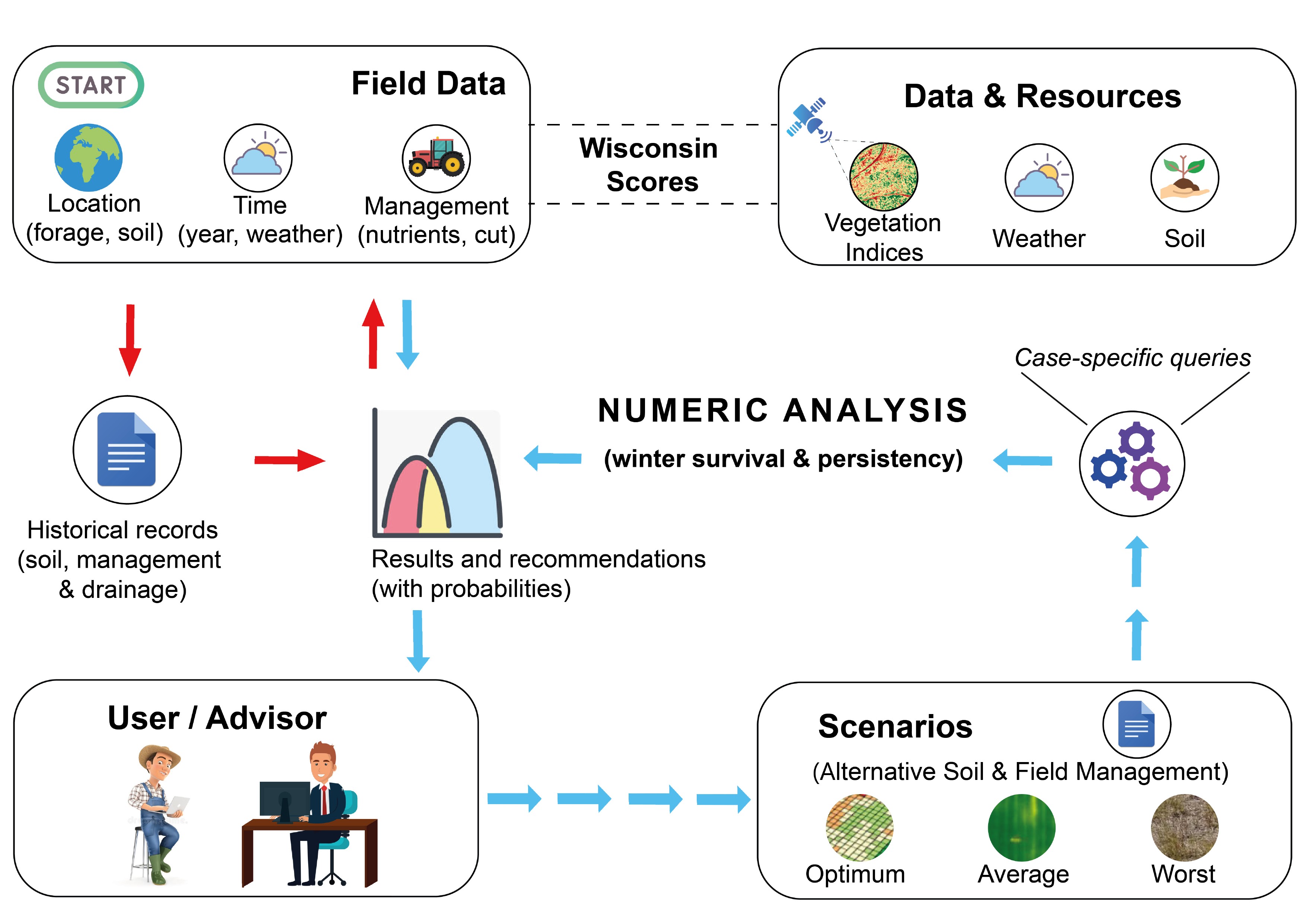 Probabilistic Models for Vegetation Winter Persistence